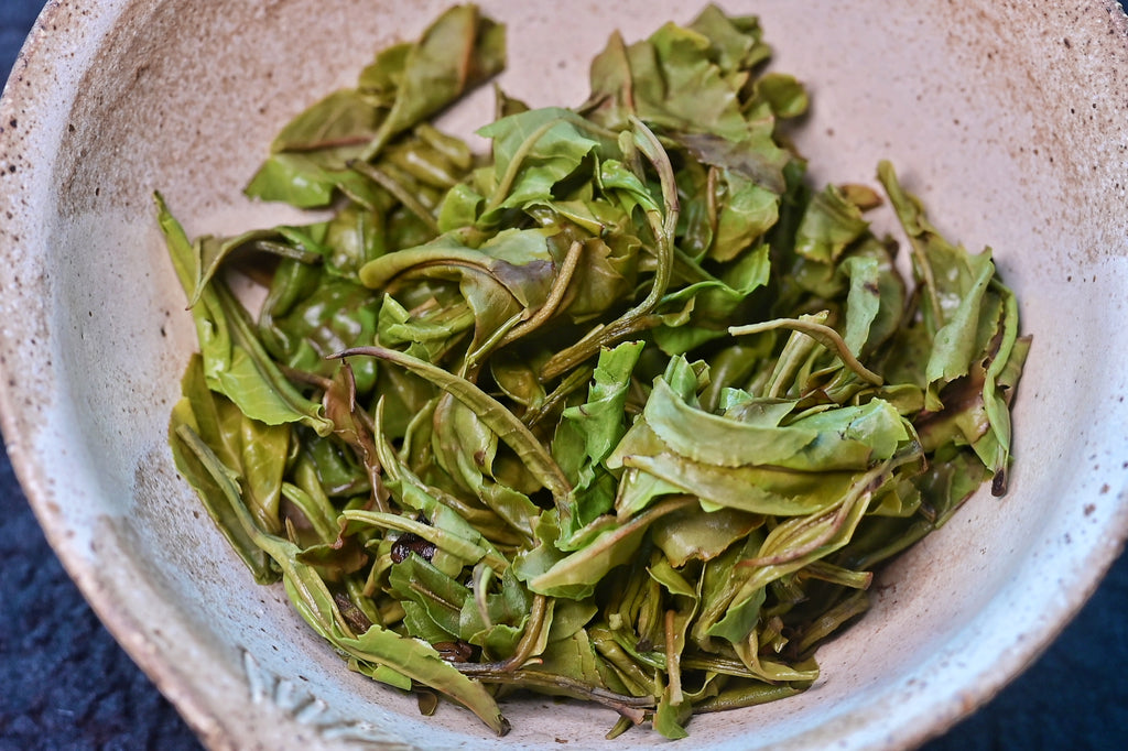 Red Jade T-18 Shou Mei | white tea