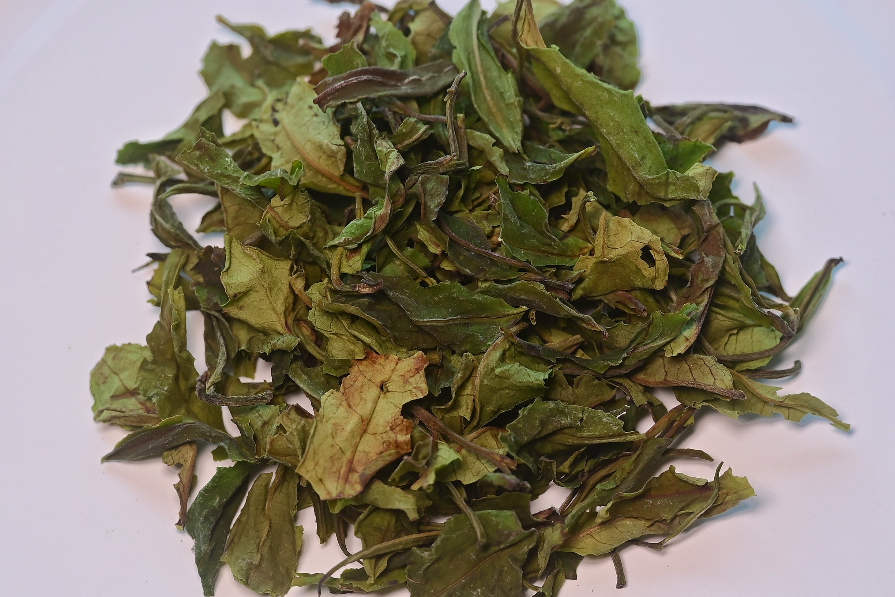 Red Jade T-18 Shou Mei | white tea