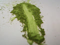 Shizuoka tseremoonia Matcha 30g